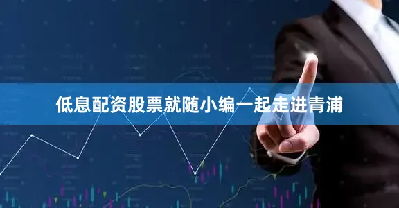 低息配资股票就随小编一起走进青浦