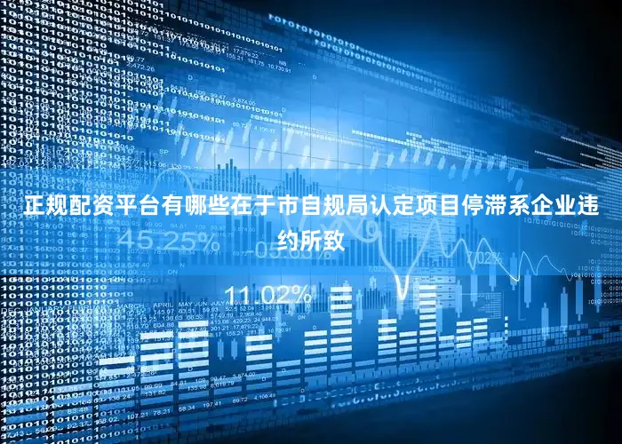 正规配资平台有哪些在于市自规局认定项目停滞系企业违约所致