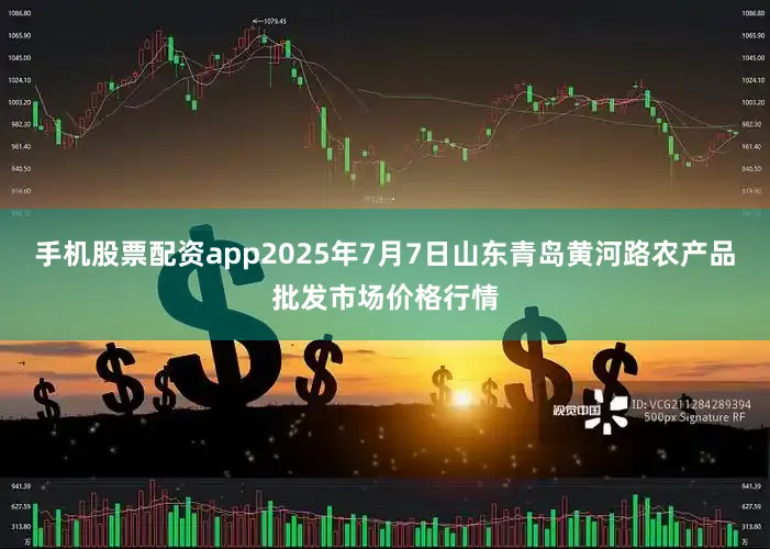手机股票配资app2025年7月7日山东青岛黄河路农产品批发市场价格行情