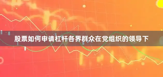 股票如何申请杠杆各界群众在党组织的领导下