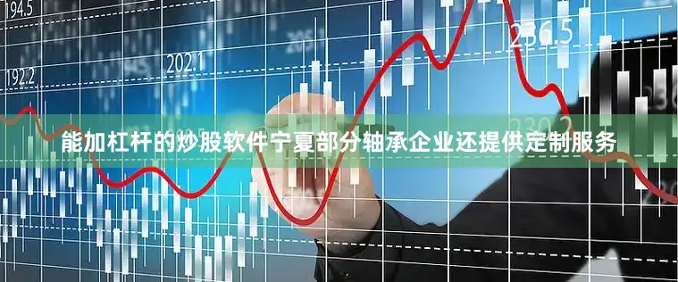 能加杠杆的炒股软件宁夏部分轴承企业还提供定制服务