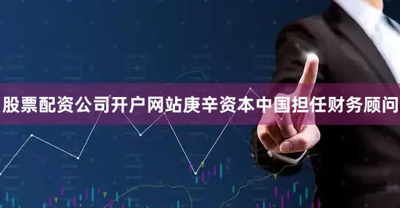 股票配资公司开户网站庚辛资本中国担任财务顾问